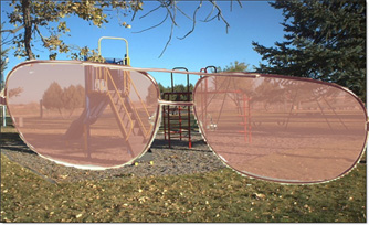 Rose Colored Glasses