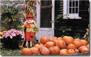 fall pumpkins