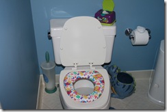 MLIs potty station